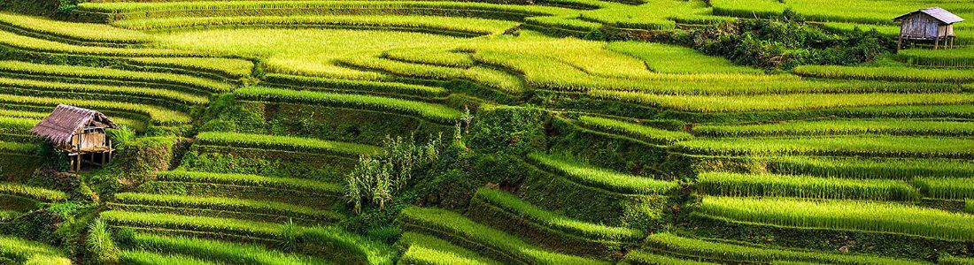 Bali, la isla de los dioses