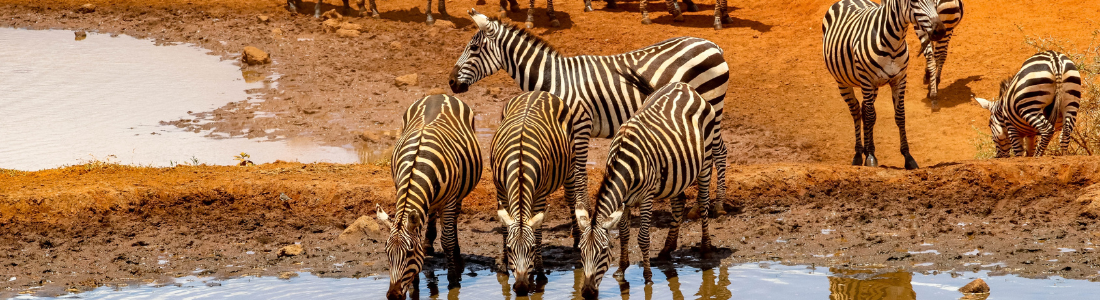 Kenia, aventuras en la gran sabana