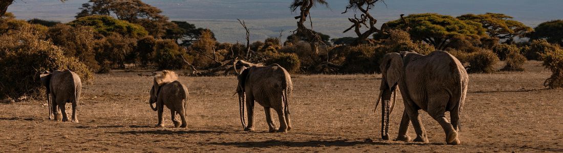 Kenia, aventuras en la gran sabana