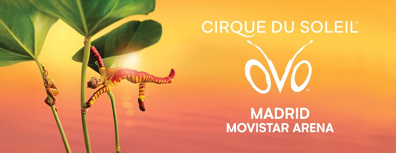 VIAJE AL CIRCO DEL SOL DIA 21-3-2026