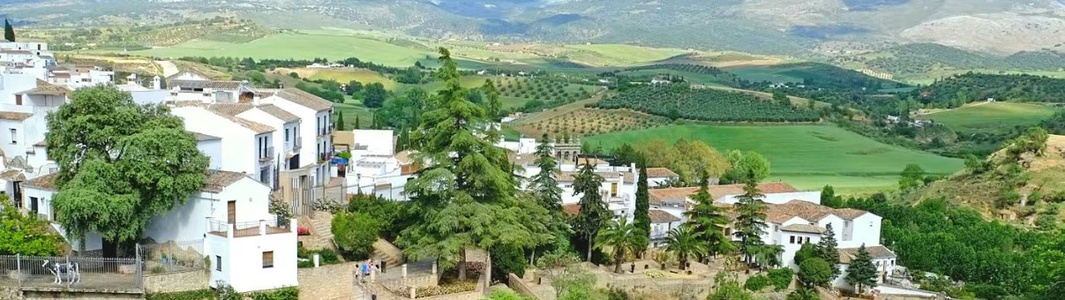 CIRCUITO EN BUS "CADIZ Y PUEBLOS BLANCOS" Salida 19 de Octubre Desde 699 €