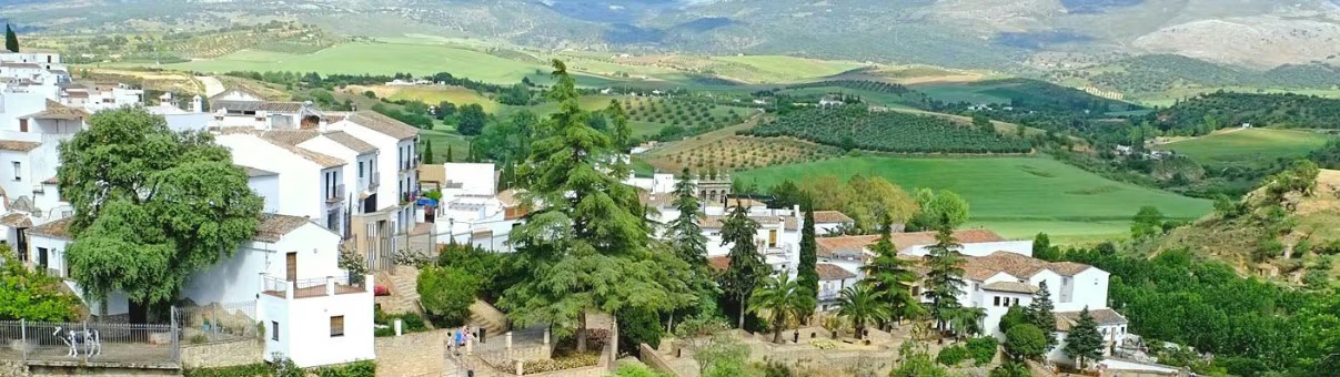 CIRCUITO EN BUS "CADIZ Y PUEBLOS BLANCOS" Salida 19 de Octubre Desde 699 €
