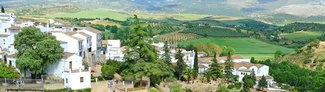 CIRCUITO EN BUS "CADIZ Y PUEBLOS BLANCOS" Salida 19 de Octubre Desde 699 €