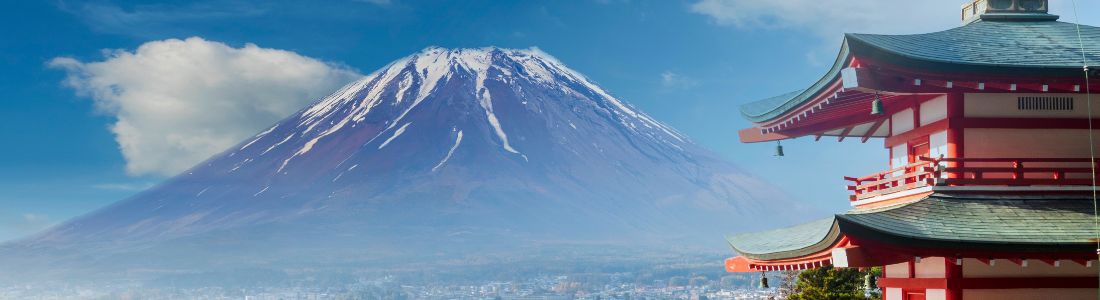 CONTRASTES DE JAPÓN