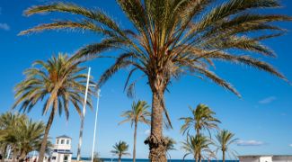 GANDÍA DESDE SEGOVIA
