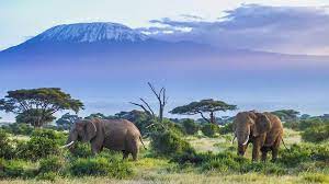 Descubriendo Tanzania