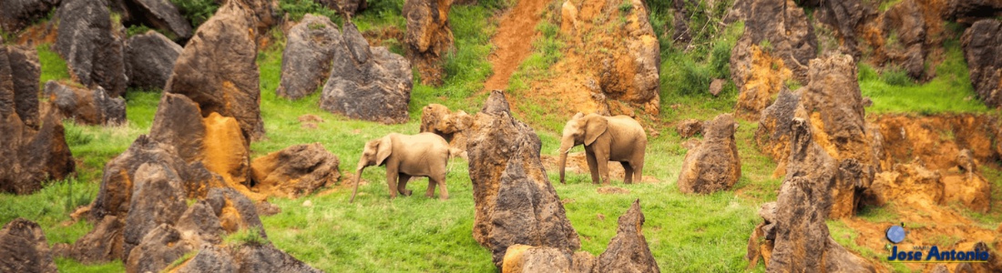 Carnavales 2026: Cantabria al completo