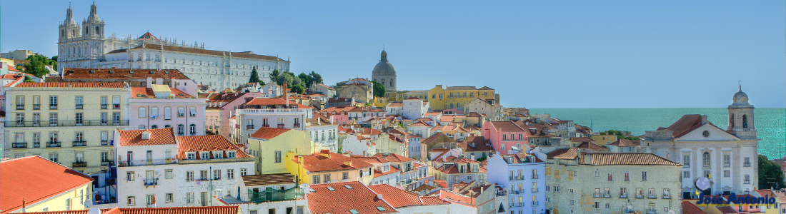 Puente de Diciembre: Portugal