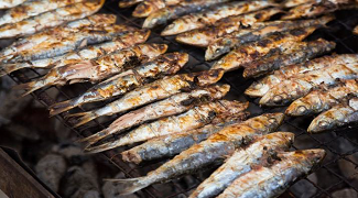 SITGES I MARISCADA A TORREDEMBARRA