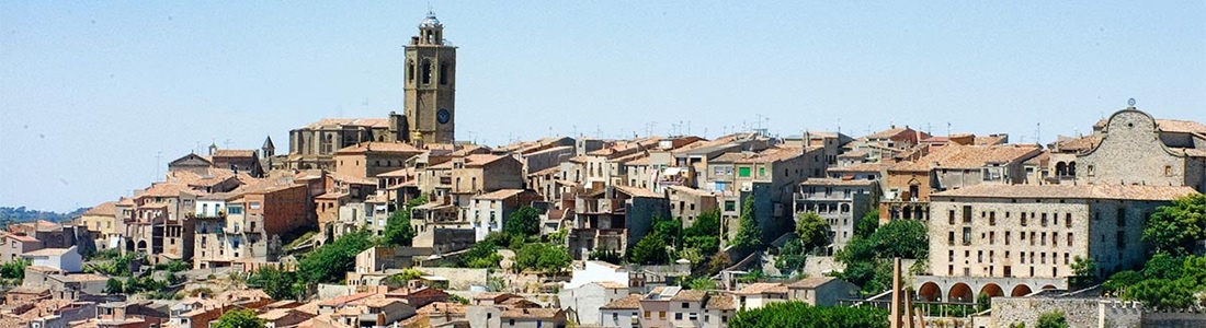 Castanyada i visita a la capital de La Segarra
