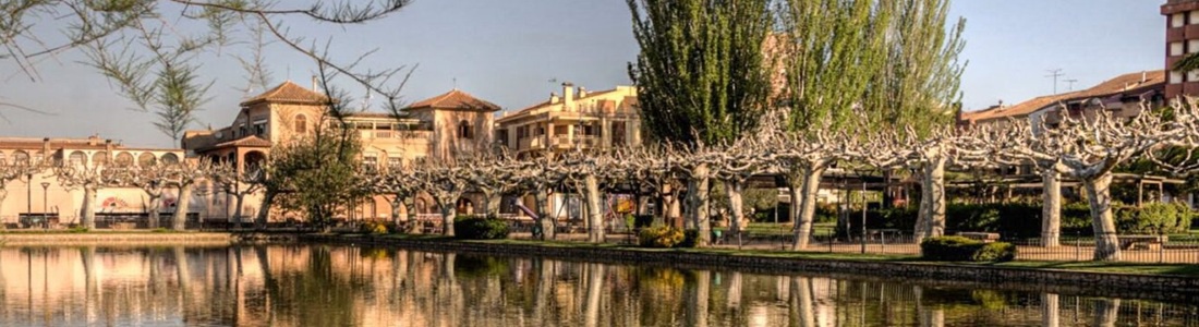 Per les Garrigues: Fira de l'oli a Les Borges Blanques