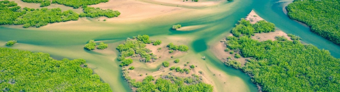 Senegal: Carib Africà