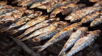 Alt Empordà i Sardinada a Llançà