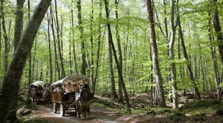 La Garrotxa i carruatges a La Fageda de'n Jordà