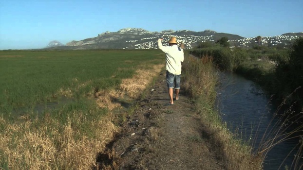 Senderismo y gastronomia en la Costa Blanca